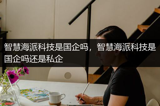 智慧海派科技是国企吗，智慧海派科技是国企吗还是私企