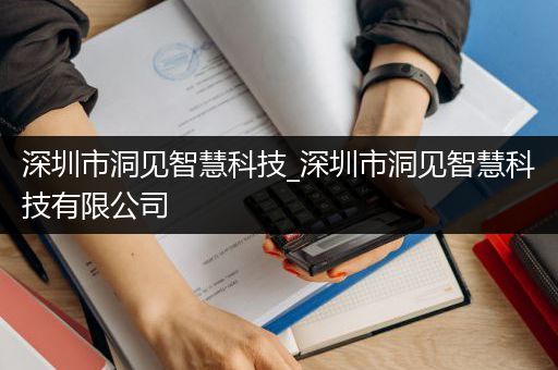 深圳市洞见智慧科技_深圳市洞见智慧科技有限公司