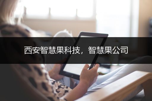 西安智慧果科技，智慧果公司