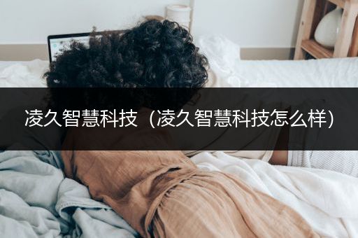 凌久智慧科技（凌久智慧科技怎么样）