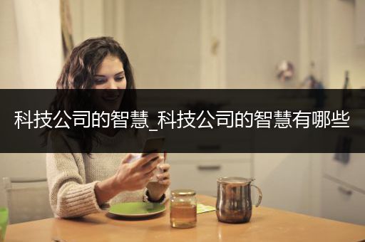 科技公司的智慧_科技公司的智慧有哪些