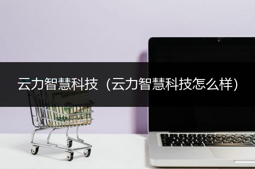 云力智慧科技（云力智慧科技怎么样）