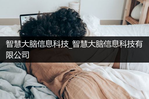 智慧大脑信息科技_智慧大脑信息科技有限公司