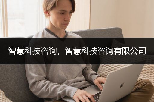 智慧科技咨询，智慧科技咨询有限公司