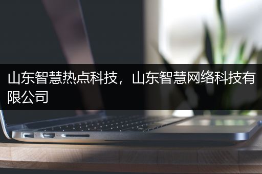 山东智慧热点科技，山东智慧网络科技有限公司