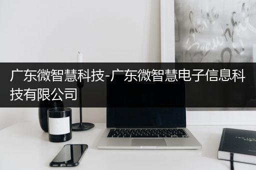 广东微智慧科技-广东微智慧电子信息科技有限公司